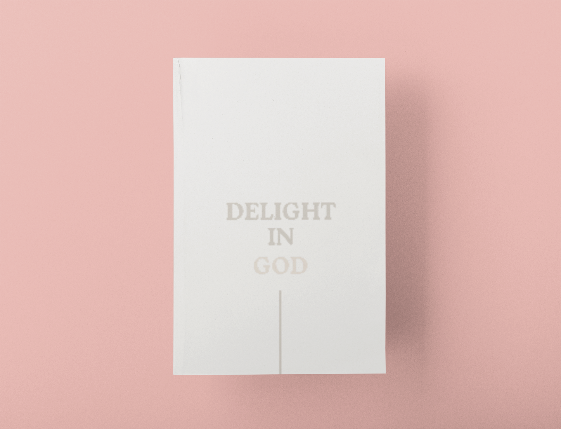 Delight With God (Time With God Journal)